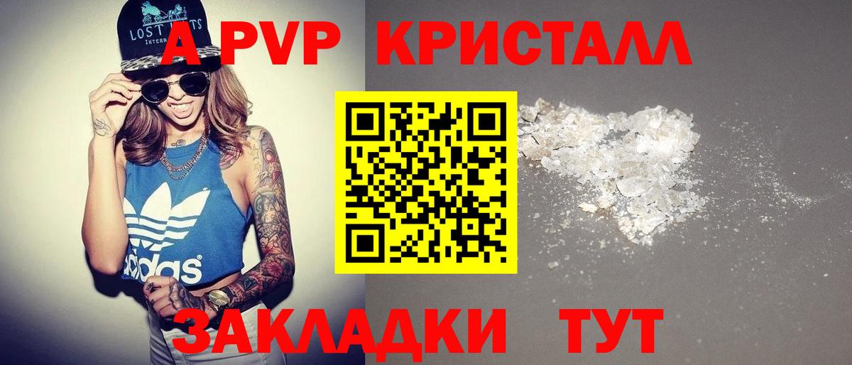 Alfa_PVP СК КРИС Сосновый Бор