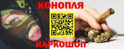 mdpv Можга